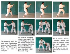 m lw bunkai gojushihosho