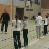 FS2013