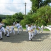 tl2005_29