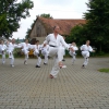 tl2006_13