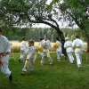 tl2006_19