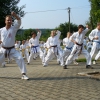 tl2006_31