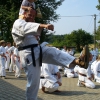 tl2006_32