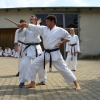 tl2006_35