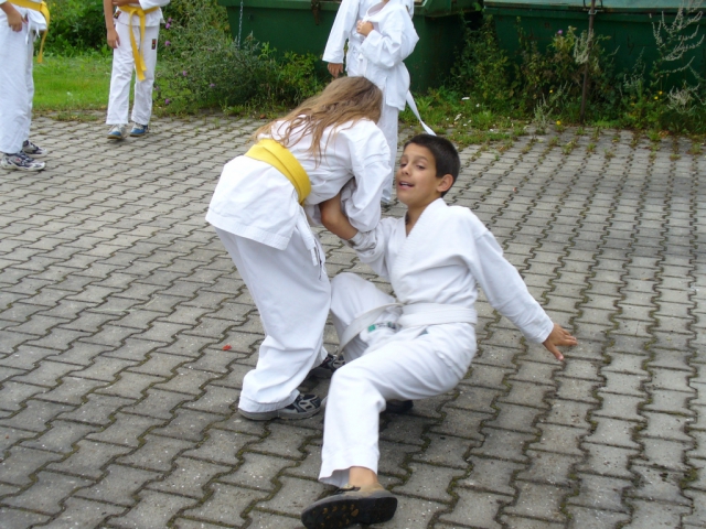 tl_2007_43