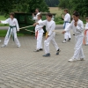 tl_2007_11