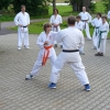 tl_2007_20