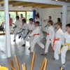 tl_2007_29
