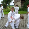 tl_2007_44
