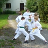 tl2008_11