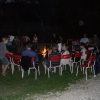 tl2008_14