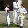 tl2008_42