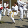 tl2008_43