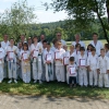 tl2008_46