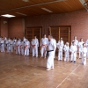tl_2009_11