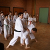 tl_2009_41