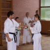 tl_2009_53