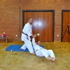 tl_2010_009