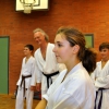 tl_2010_011