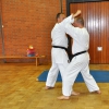 tl_2010_012