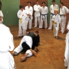 tl_2010_059