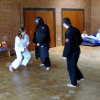 tl_2010_065