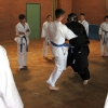 tl_2010_067