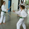 tl_2010_109