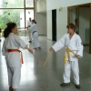 tl_2010_111