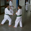 tl_2010_114