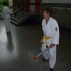 tl_2010_115