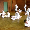 tl_2011_003