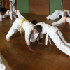tl_2011_006