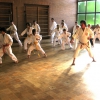 tl_2011_009