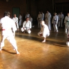 tl_2011_020