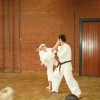 tl_2011_038