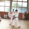 tl_2011_039