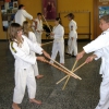 tl_2011_057