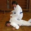 tl_2011_073