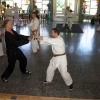 tl_2011_081