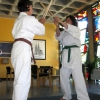 tl_2011_083