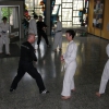 tl_2012_004