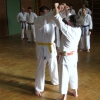 tl_2012_020