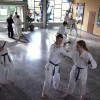 tl_2012_028