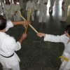 tl_2012_051