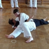 tl_2012_161