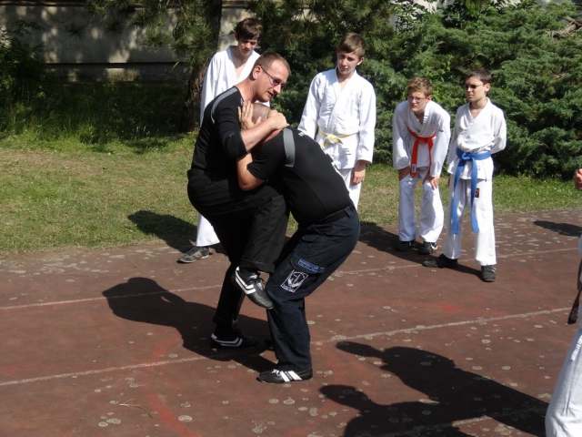 tl_2013_52