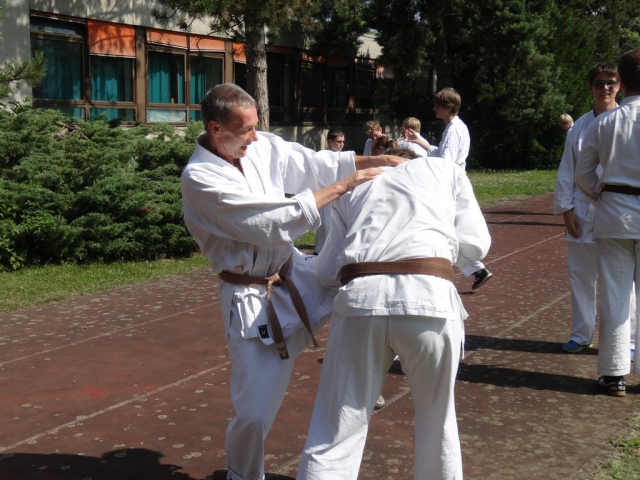 tl_2013_53