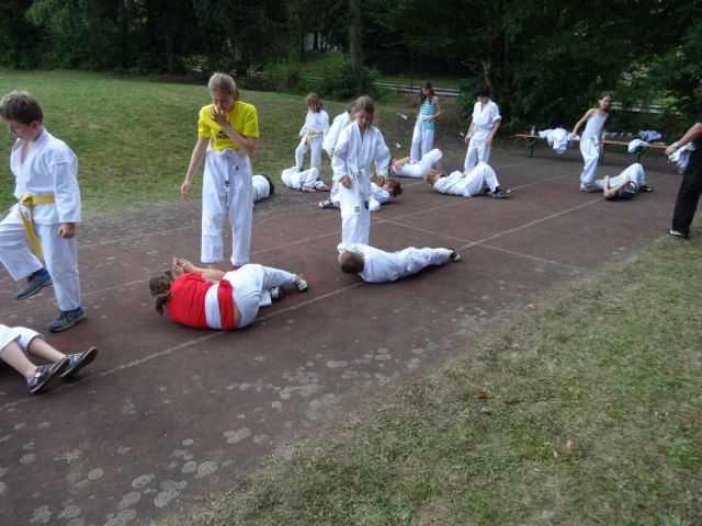 tl_2013_56