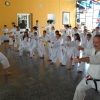 tl_2013_02